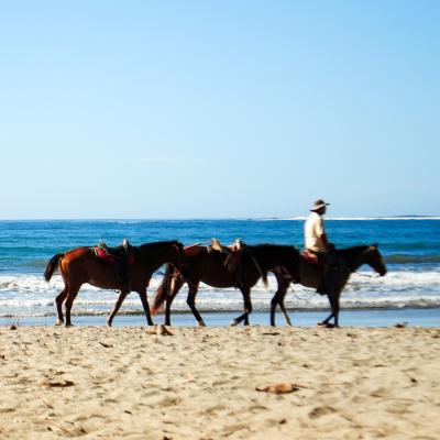 Horses Samara Costarica